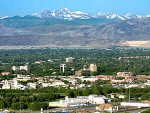 Carpet Padding - City of Fort Collins