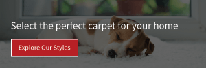 explore carpet styles