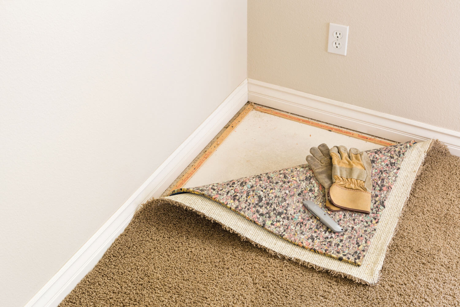 mold on wood floor under carpet